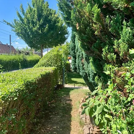 Apartament Lilo Luisa *