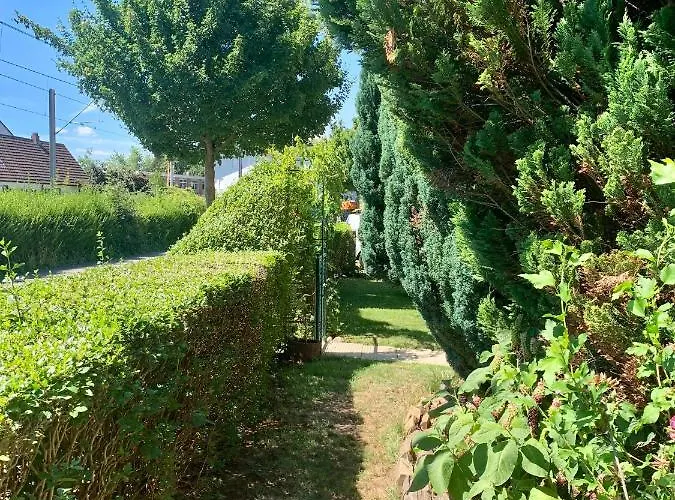 Appartamento Lilo Luisa *